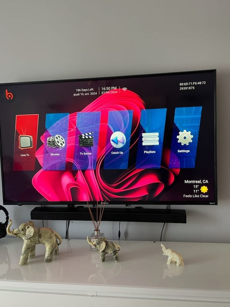 Customer supplied television viewing photo 5